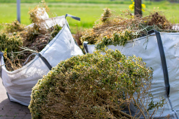 Best Construction Debris Removal  in Glenwood Springs, CO